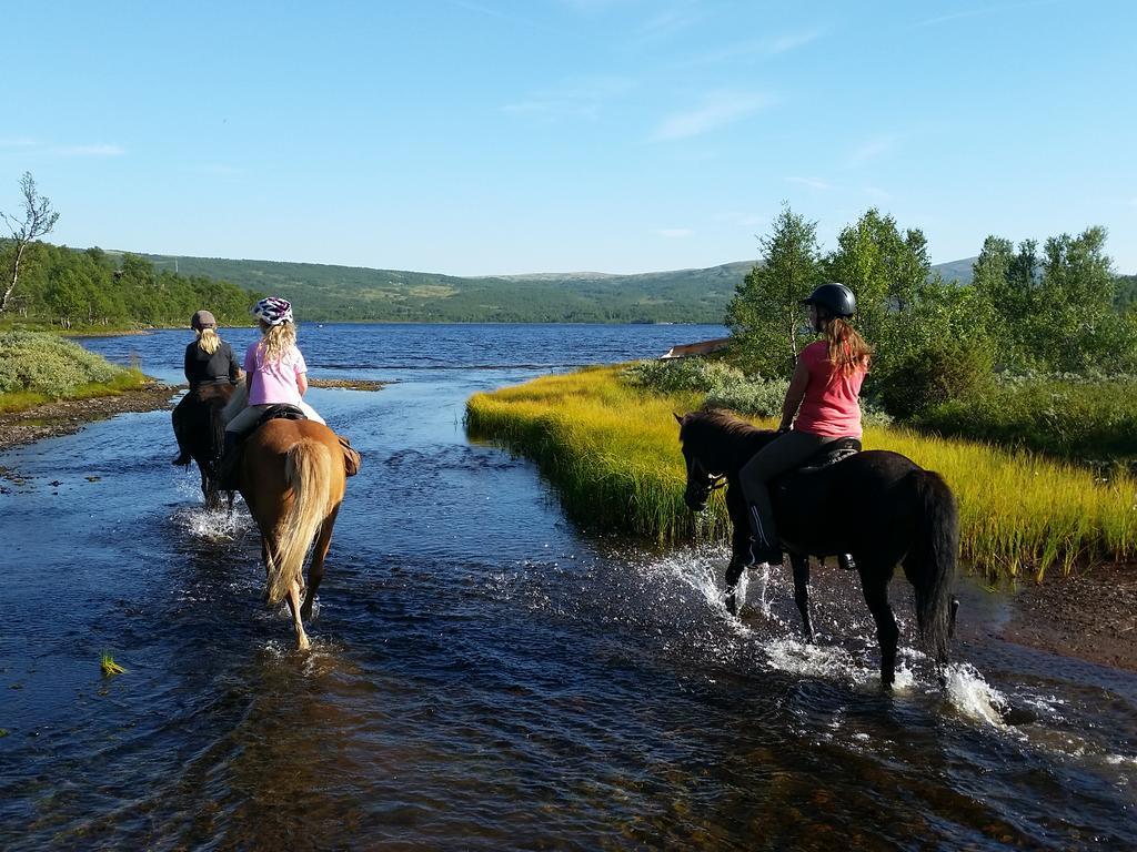 Hessdalen Ufocamp Apartment Vårhus Екстериор снимка